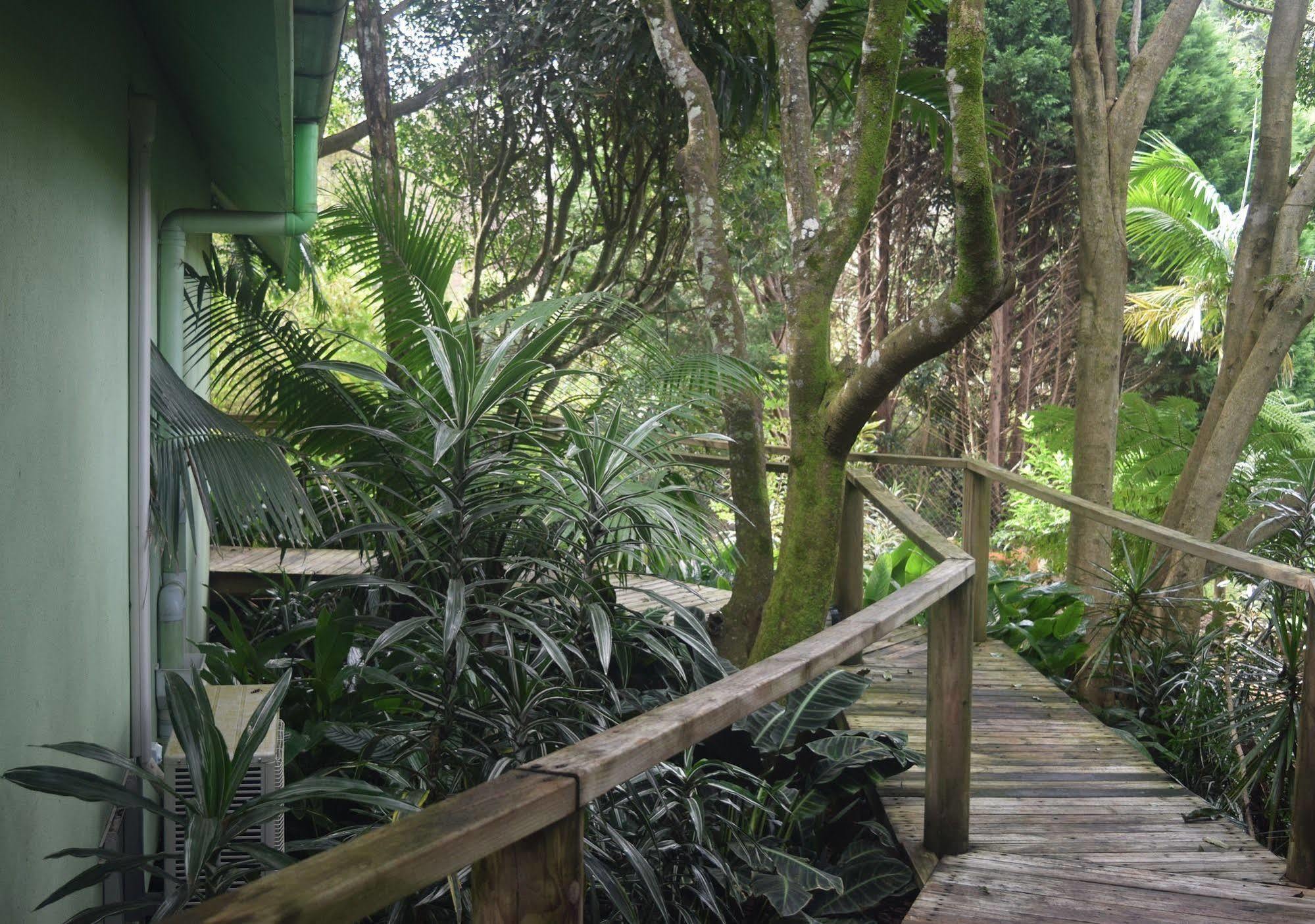 Chalet On Gallery Walk - King Bed, Spa, Fireplace, Wifi & Netflix, Linger A While Mount Tamborine Exterior foto
